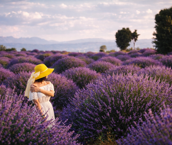 От Мечетей до Лавандовых Полей: Турецкое Приключение!