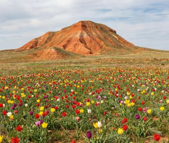 Луна и Марс: путешествие на Баскунчак и Богдо