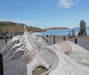 Кольский ближе, чем вам кажется!