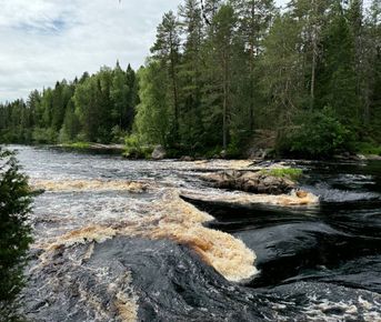 Сплав на байдарках по Керети и Белому морю
