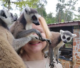 Мадагаскар: приключения на зелёном острове! Внутренние рейсы включены!