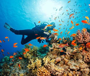 Палау: дайвинг-сафари на Black Pearl