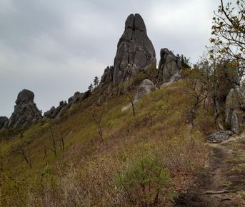 Экскурсия Долина Атлантов и бухта Спокойная