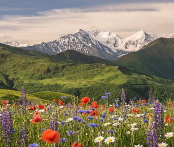 Тур в Чеченскую Республику. Всё Включено. Комфорт Плюс