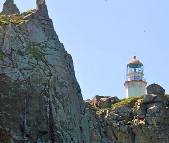 Морская экскурсия Полуостров Гамова + отдых на пляже - маяк, сосны и ларги