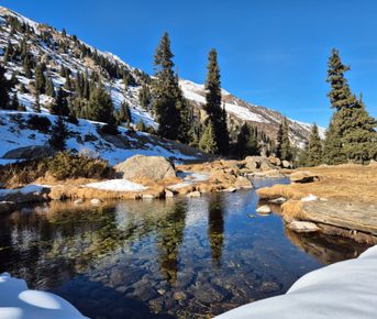 Поляна Терра и подвесной мост