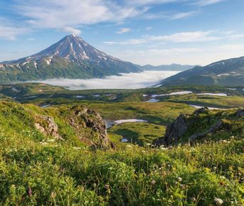 Максимум Камчатка. Комфорт Плюс