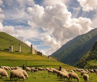 Осетия  Ингушетия за 5 дней. Все включено: горы, кухня и танцы!