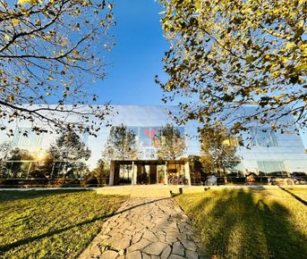 Гастрономический тур Вино&Море: Секреты винных замков