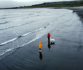 Полуострова Рыбачий и Средний, 3 дня на Кольском на максимуме!