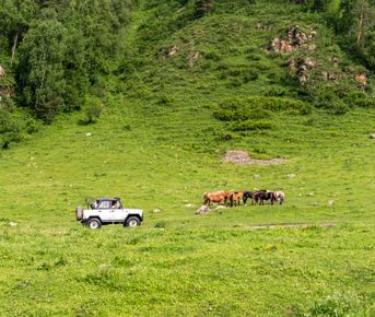 Погружение в Алтай: кони, сплав, трекинг/уазинг