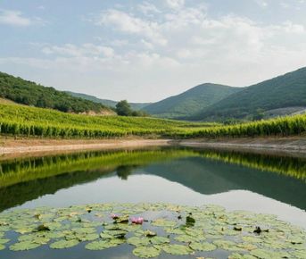 Гастрономический тур Вино&Море: Дыхание озер