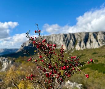 Биюк-Исар место, где скалы хранят эхо древних народов