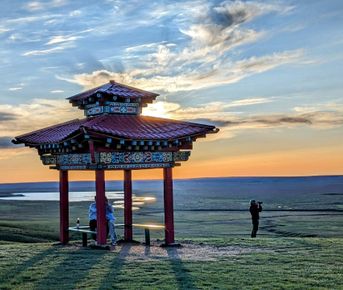 Калмыкия в пору цветения тюльпанов + тропою сайгака