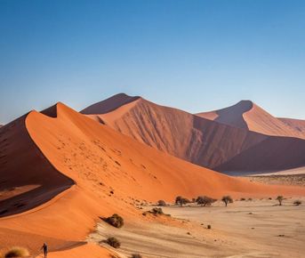 Джип-тур в Намибию: сафари, дюны и мистический мертвый лес