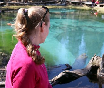 Алтайская кругосветка, группа до 5 человек