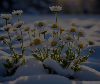 Ретрит Пробуждение