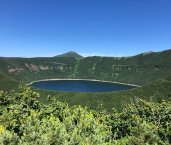 Джип-тур: На поиски медведя(Тур для компании 1-5 чел. одна цена)