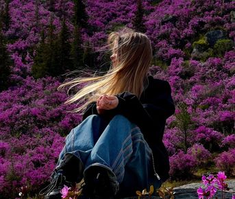 Цветение маральника на Алтае