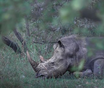 Уганда — настоящая жемчужина Африки