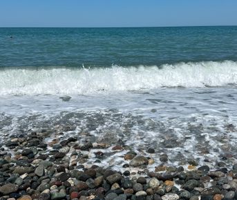 Лето в Батуми с Меладзе: концерт + отдых у моря 14-18 июля