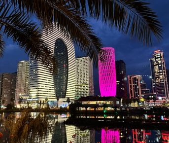 Лето в Батуми с Меладзе: концерт + отдых у моря 14-18 июля