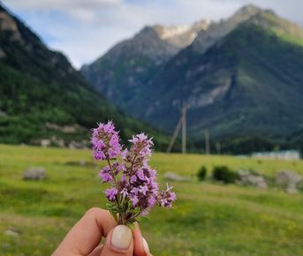 Домбай-Эльбрус: 5 ярких дней в горах!
