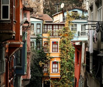 Грузия: вино, горы и море