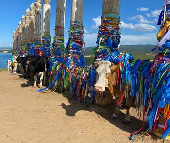 Байкал и Саяны, 6 дней