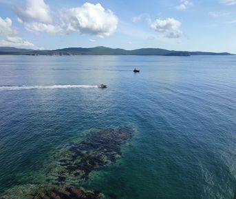 Приморский микс (лето)