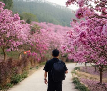 Авторский тур по Южному Китаю.