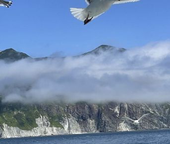 Камчатка по-максимуму! Киты и медведи. Все включено! С комфортом.