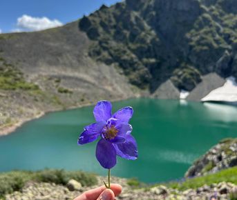Алтай без границ