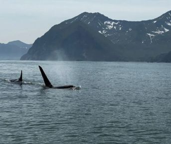 Камчатский  Калейдоскоп