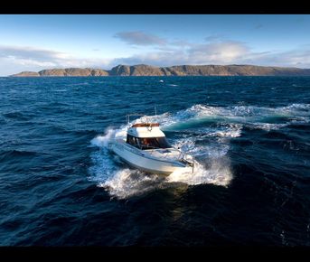 Териберка, Киты, Крабы, Баня. Всё Включено