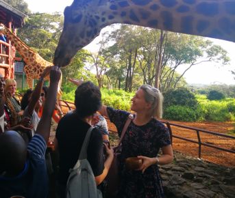 Великая миграция и вся Большая пятерка в лучших сафари Кении, Танзании и Занзибара