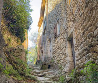 Юг Франции: вино, устрицы и средневековые города.