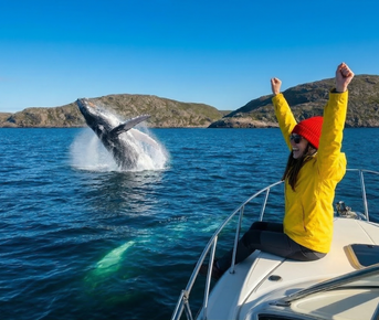 Премиум Териберка до 6 чел. Киты, Отель на берегу, Деликатесы, Сафари на квадрациклах