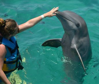 7 женщин. 7 закатов. Мальдивы с психологом-сексологом.