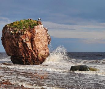 Лапландия Кольского полуострова: Терский берег и дикая природа севера