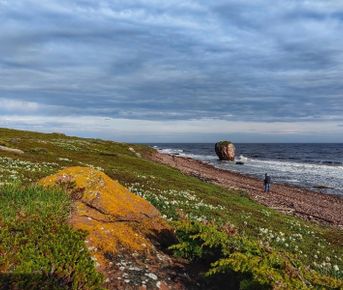 Лапландия Кольского полуострова: Терский берег и дикая природа севера