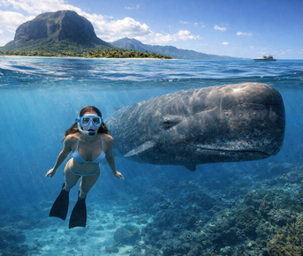 Маврикий: киты, дельфины, гольф, жирафы. Тур с фотографом.