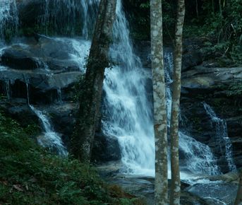 Весь Чиангмай и окрестности за один день