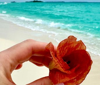 Активные Мальдивы по трем островам!