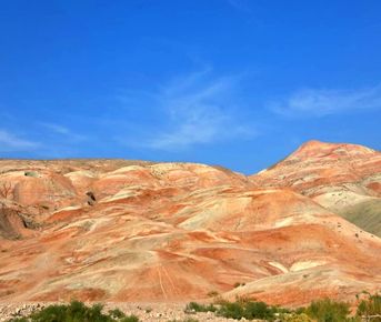 Розовое озеро, Марсианские горы, Бешбармаг и дегустация черной икры (обед включен)