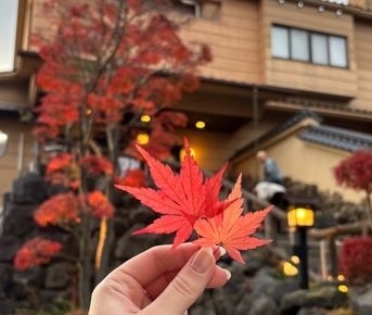 Шелест красного клёна. Япония