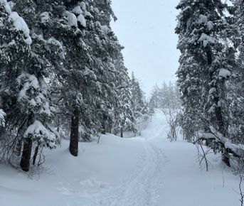Кандалакша и Белое море