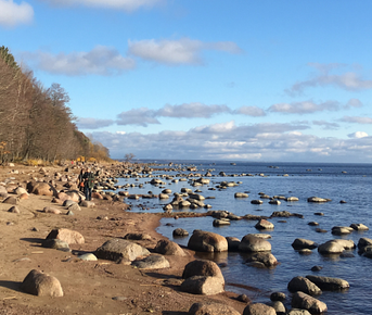 Белые ночи на Финском заливе