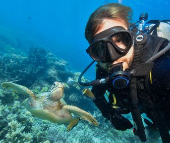 Средиземное море изнутри: дайвинг в Аланье