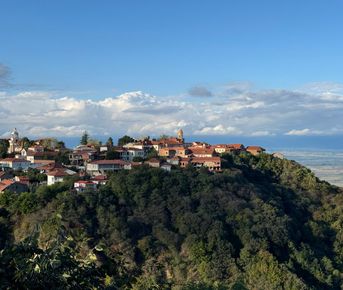 Навстречу солнцу Кахетии: Вело-приключение